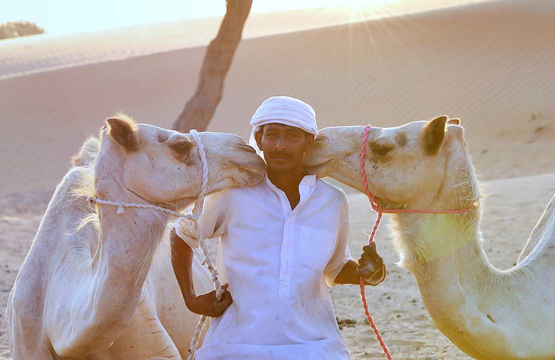 Camel ride in Dubai